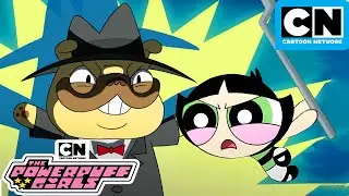 Puppy Fight! | New Powerpuff Girls Compilation | Cartoon Network