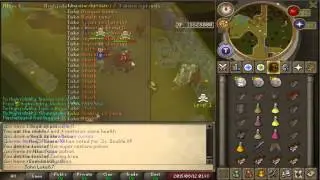 Near Reality 100% Risk Fight vid #5