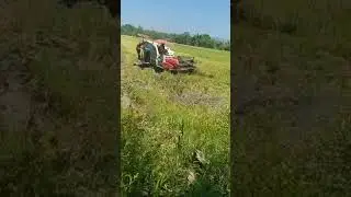 Hitect na ngayon ang pag harvest ng palay sa probinsiya  #buhayprobinsya #lifeinprovince #nida