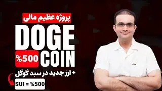 ارز تازه وارد به مجموعه گوگل!!! پیشرفت خیره کننده پروژه مالی عظیم دوج کوین در نیمی از خاک آمریکا! 🌙