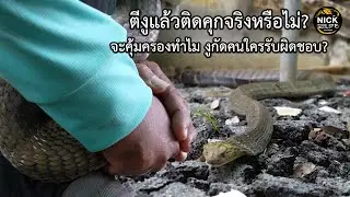 ลุยดิบ EP.131 ตีงูแล้วติดคุกจริงหรือไม่?จะคุ้มครองทำไม งูกัดคนใครรับผิดชอบ?