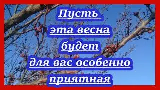 Легенда о Данко, рассказ старухи Изергиль, Максима Горького