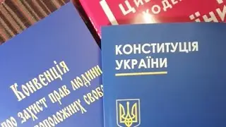 Статусы Человека и Гражданина. Создание ТГ Семинар, Николай Кинолог. Киев, 24.01.21. День 2. Часть 1