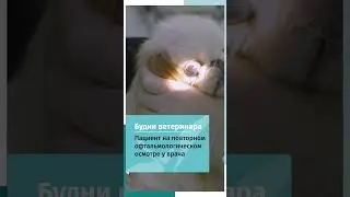 Офтальмологический осмотр после лечения язвы роговицы