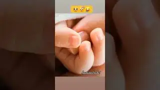 #ترند