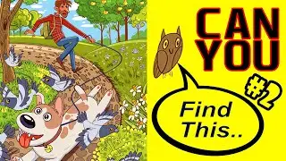 Can You Find The Hidden Objects? #2 | Hidden Objects Puzzle | Image Puzzle Game