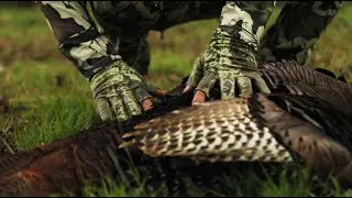 THLETE Outdoors – TN WildCast 334