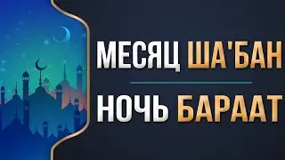 Что делать в ночь 
