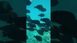 🔥 Motivation #motivation #motivational #motivationalvideo #motivationalquotes #motivationalspeech