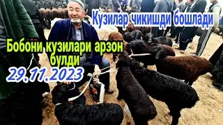 Чирокчи мол бозори нархлари 29.11.2023 й