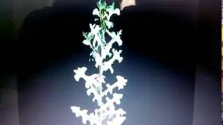Легальная 