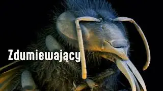 3 października 2024