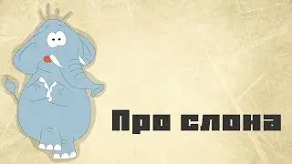 About the elephant