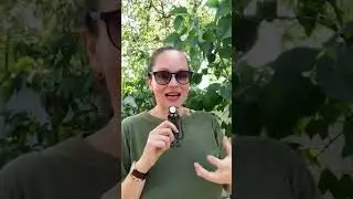 ЧЕМ ПОЛЕЗНА ВИШНЯ 