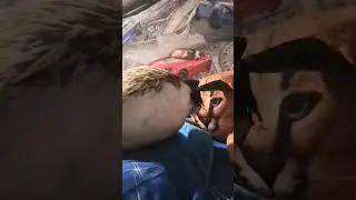 где пельмені