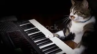 istockphoto 900714718 640 adpp is