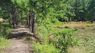 Cloverdale Farm Park 2