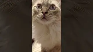 А вдруг на самом деле у меня все зашибись