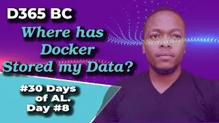 How does your Microsoft Dynamics 365 Business Central docker container store data in SQL Server?