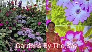 🪻🌹FLOWER DOME AT GARDENS BY THE BAY    SINGAPORE TOUR, PART - 4