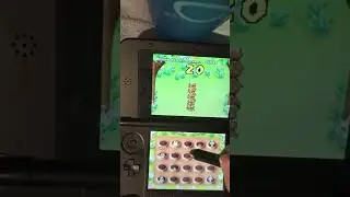 New super Mario Bros ds mole minigame 103
