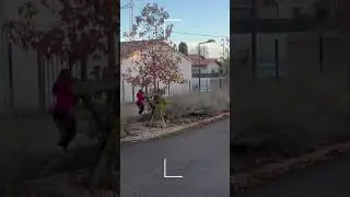 Elle lui vole 2 chiots 😱 