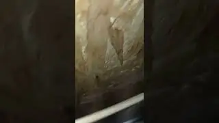 конденсат на крыше, между осб и пенопластом. в чем причина???