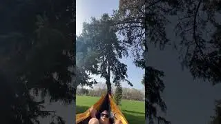 Гамак, спів пташок і Дімин мявкіт, велосипедна зупинка:)
