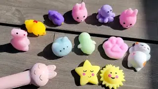 Mochi Squishes Fidget Toys Set