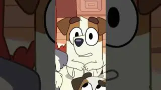 Jack Russell Shrug | Bluey The Sign