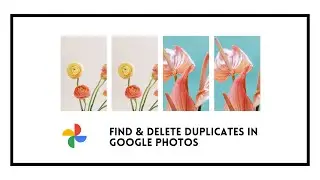 How to Find and Delete Duplicates in Google Photos on Windows & Mac with Cisdem Duplicate Finder