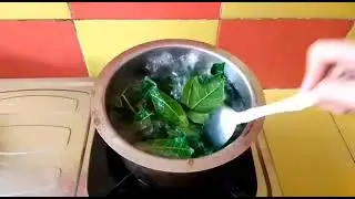 Traditional Remedies for Malaria Fever | Safe and Proven!