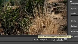 Revelado RAW de Naturaleza