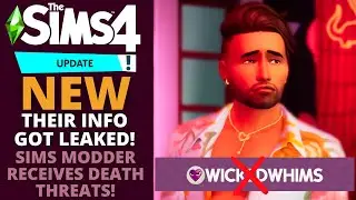 THE SIMS COMMUNITY IS TOXIC! SIMS 4 MODDERS GET HARASSED!
