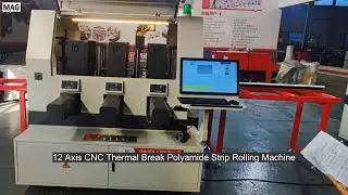 12 Aixs Thermal break polyamide strip rolling machine