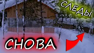 ВОЛК ПРИШЕЛ ПОКА Я СПАЛ / НОЧЕВКА В ЛЕСУ ЗИМОЙ ПРИКРЕПИЛ КОРМУШКИ