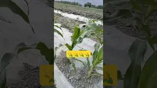11 мая 2024 г.