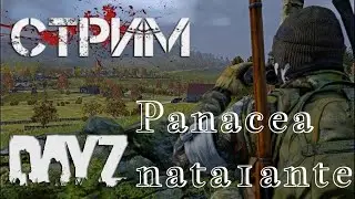 ➤ Сервер|Panacea| 🔴 DayZ 🔴 nata1ante Entertainment 🔴