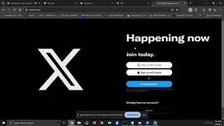 XSS POC TWITTER