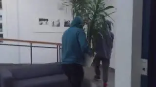 Plant thieves on school!! OMG!
