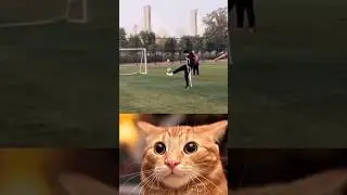 Sigma Cats 