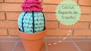 Cómo hacer un Cactus de Trapillo - Tutorial paso a paso