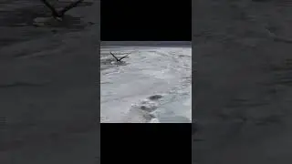 Редкий кадр