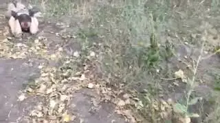 Курська область! Солдат РФ взяли в полон.