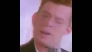 Never Gonna Dame Dane