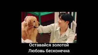 BTS 'Stay Gold' Official MV (rus sub/русские субтитры)