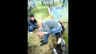 молодежное кладбище