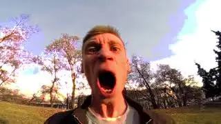 Зипуля: ПЕСНЯ ИЗ ЗВУКОВ by isee Remix