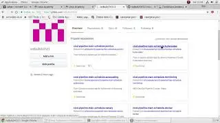 Canary testing2 by REDteam