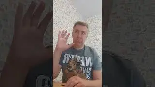 Принцип доминанта при неврозе и всд.
